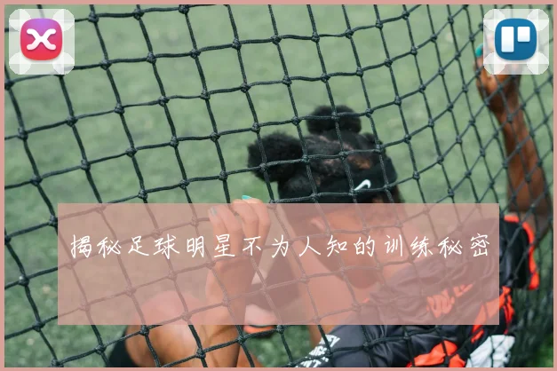 揭秘足球明星不为人知的训练秘密